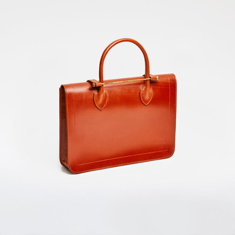 Music Case Newton Tan